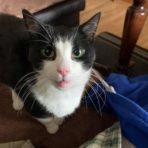 Meet your Posher, Debbie